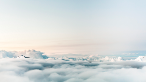 Above the clouds